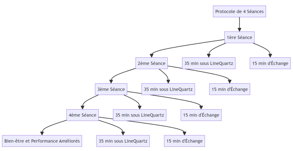 Diagramme de protocole de séances pour mettre en œuvre une action de  bien-être en entreprise