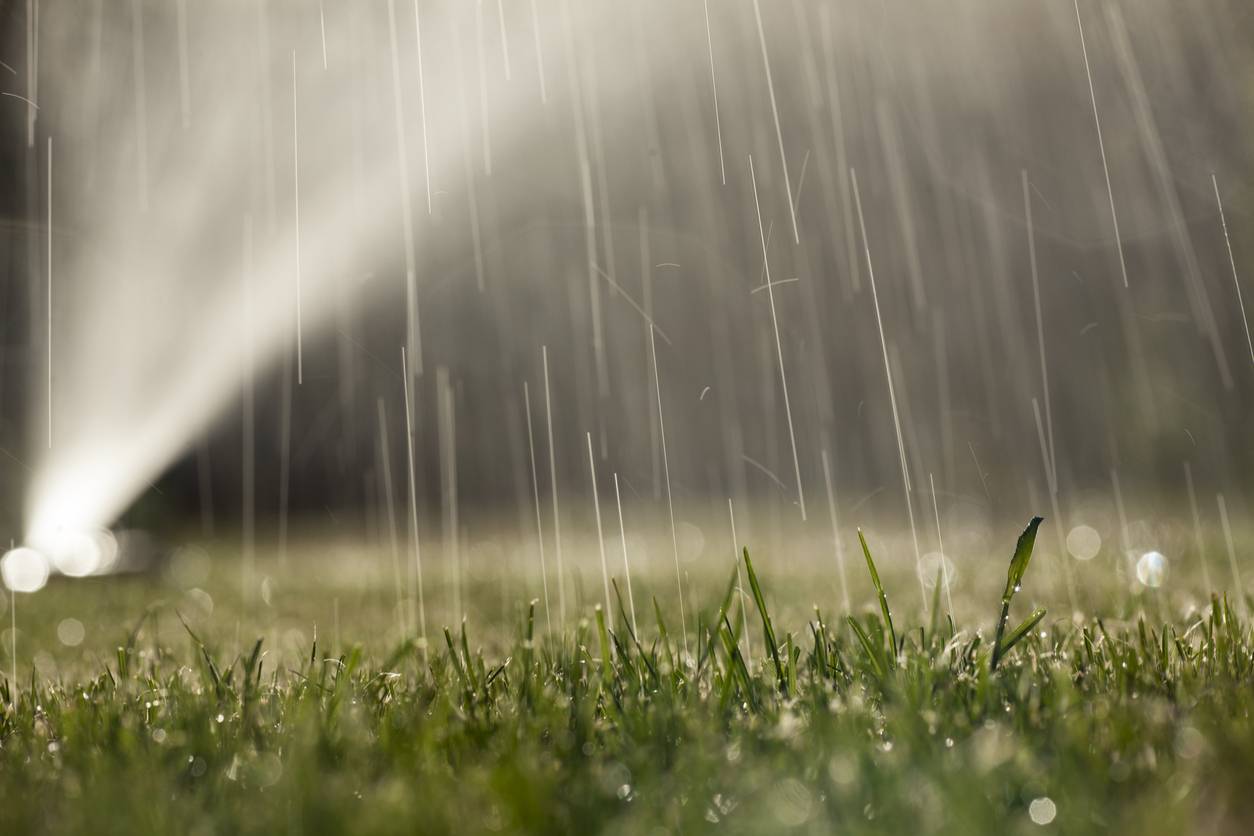 citerne eau de pluie entreprise